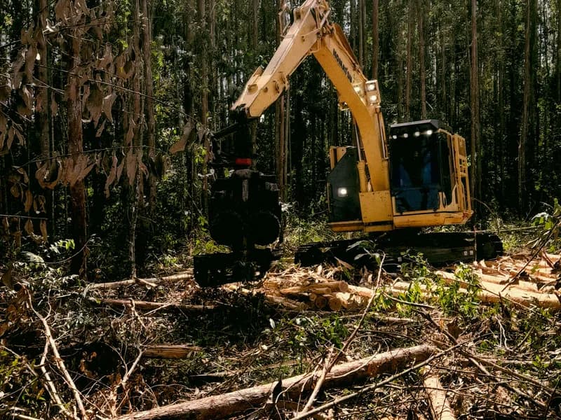 Land clearing project in Columbus